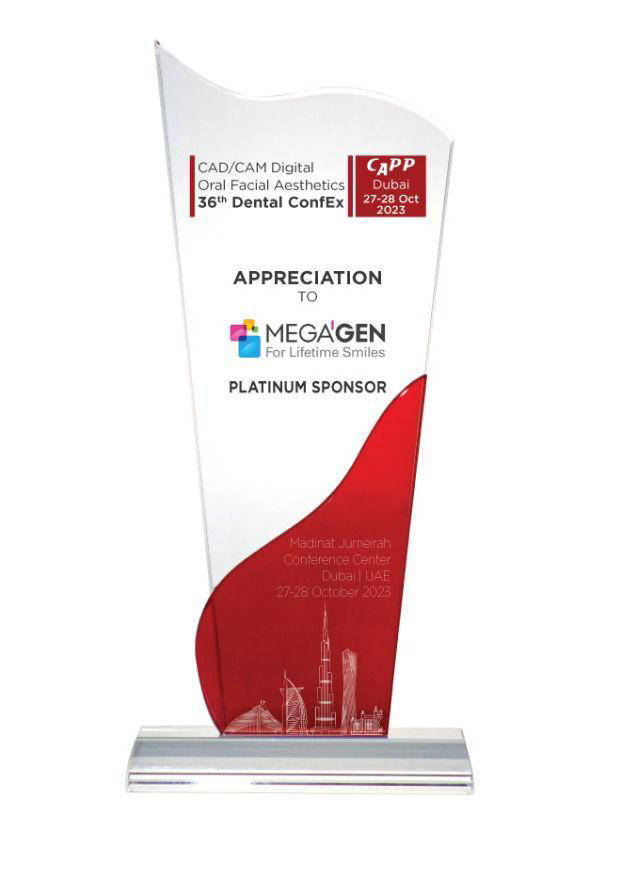 Custom trophy and award produced for a client event